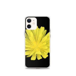 iPhone Case | Hawkweed Flower Yellow | Black Background