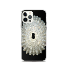 Load image into Gallery viewer, Keyhole Limpet Shell White Exterior | iPhone Case | Black Background
