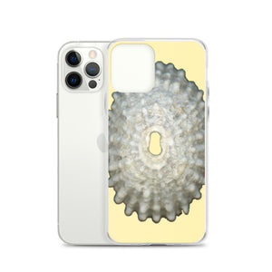 Keyhole Limpet Shell White Exterior | iPhone Case | Sunshine Background