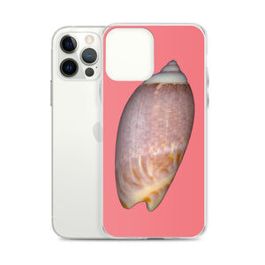 iPhone Case | Olive Snail Shell Brown Dorsal | Salmon Background
