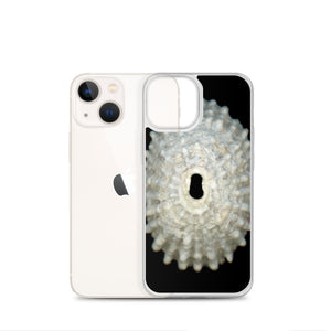 Keyhole Limpet Shell White Exterior | iPhone Case | Black Background