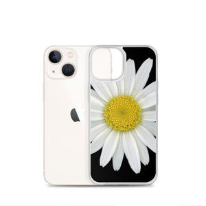 Shasta Daisy Flower White | iPhone Case | Black Background