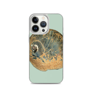 iPhone Case | Moon Snail Shell Black & Rust Apical | Sage Background