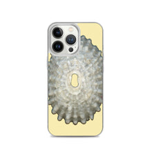 Load image into Gallery viewer, Keyhole Limpet Shell White Exterior | iPhone Case | Sunshine Background
