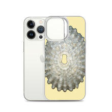 Load image into Gallery viewer, iPhone Case | Keyhole Limpet Shell White Exterior |Sunshine Background
