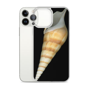 Turrid Shell Tan Apertural | iPhone Case | Black Background