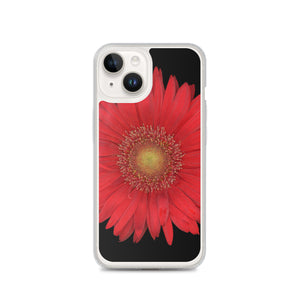 iPhone Case | Gerbera Daisy Flower Red | Black Background