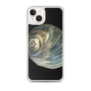 Moon Snail Shell Blue Apical | iPhone Case | Black Background