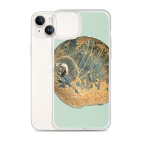 iPhone Case | Moon Snail Shell Black & Rust Apical | Sage Background