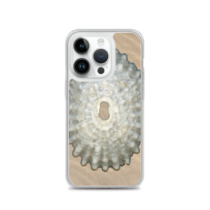 Keyhole Limpet Shell White Exterior | iPhone Case | Sand Background