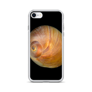 iPhone Case | Moon Snail Shell Shark's Eye Apical | Black Background