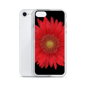 Gerbera Daisy Flower Red | iPhone Case | Black Background