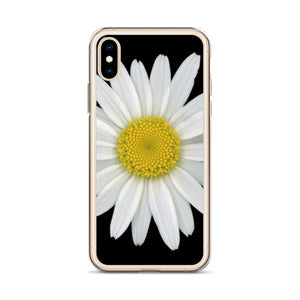 iPhone Case | Shasta Daisy Flower White | Black Background