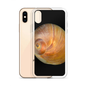 iPhone Case | Moon Snail Shell Shark's Eye Apical | Black Background