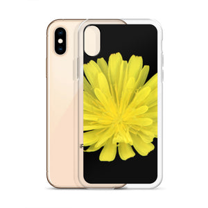 Hawkweed Flower Yellow | iPhone Case | Black Background