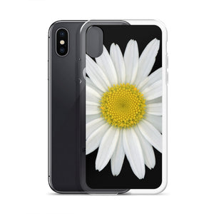 Shasta Daisy Flower White | iPhone Case | Black Background