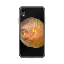 Load image into Gallery viewer, iPhone Case | Moon Snail Shell Shark&#39;s Eye Apical | Black Background
