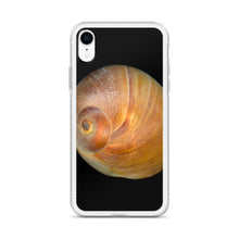 Load image into Gallery viewer, iPhone Case | Moon Snail Shell Shark&#39;s Eye Apical | Black Background
