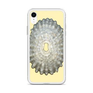 iPhone Case | Keyhole Limpet Shell White Exterior |Sunshine Background