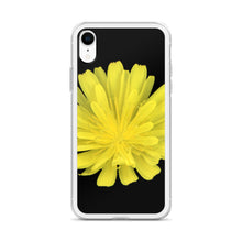 Load image into Gallery viewer, Hawkweed Flower Yellow | iPhone Case | Black Background
