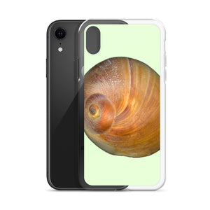 iPhone Case | Moon Snail Shell Shark's Eye Apical | Sea Glass Background