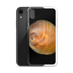 iPhone Case | Moon Snail Shell Shark's Eye Apical | Black Background