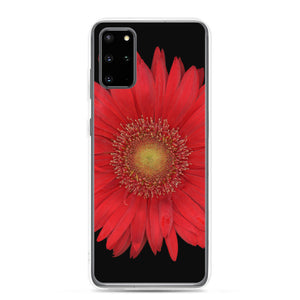 Samsung Phone Case | Gerbera Daisy Flower Red | Black Background