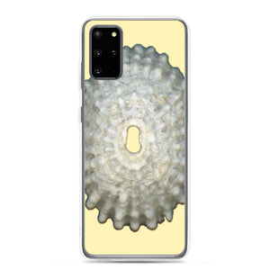 Samsung Phone Case | Keyhole Limpet Shell White Exterior | Sunshine Background
